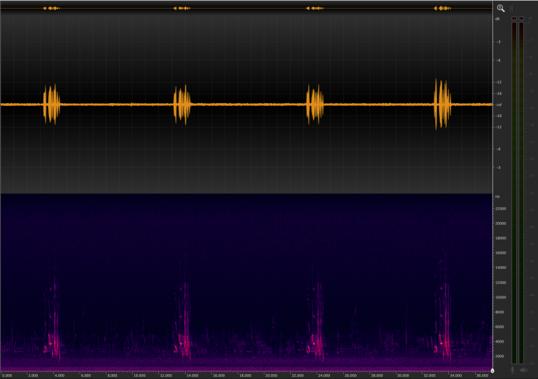 ocenaudio tutorial