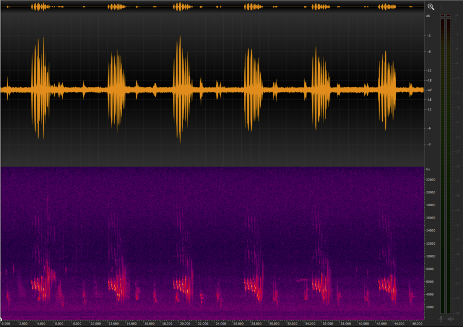 splice two files in ocenaudio