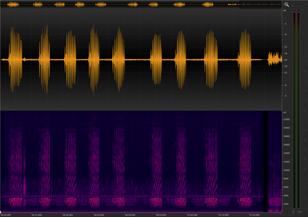 ocenaudio tutorial ocenaudio tutorial