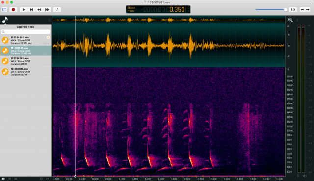 Resources – Macaulay Library