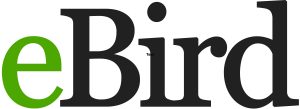 eBird