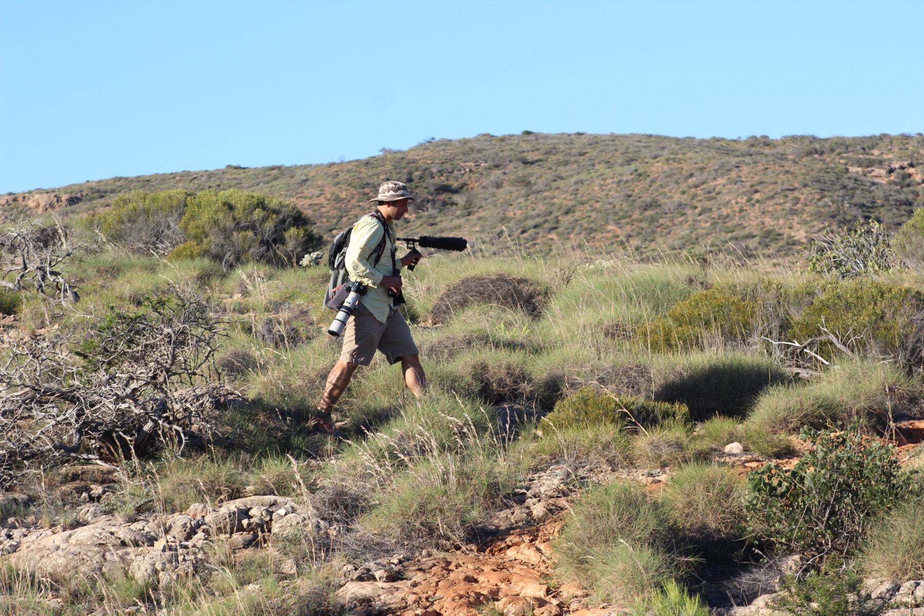 "Eliot Miller walks along a spinifex-covered ridge in Cape Range National Park. Photo by Marie Chappell."
