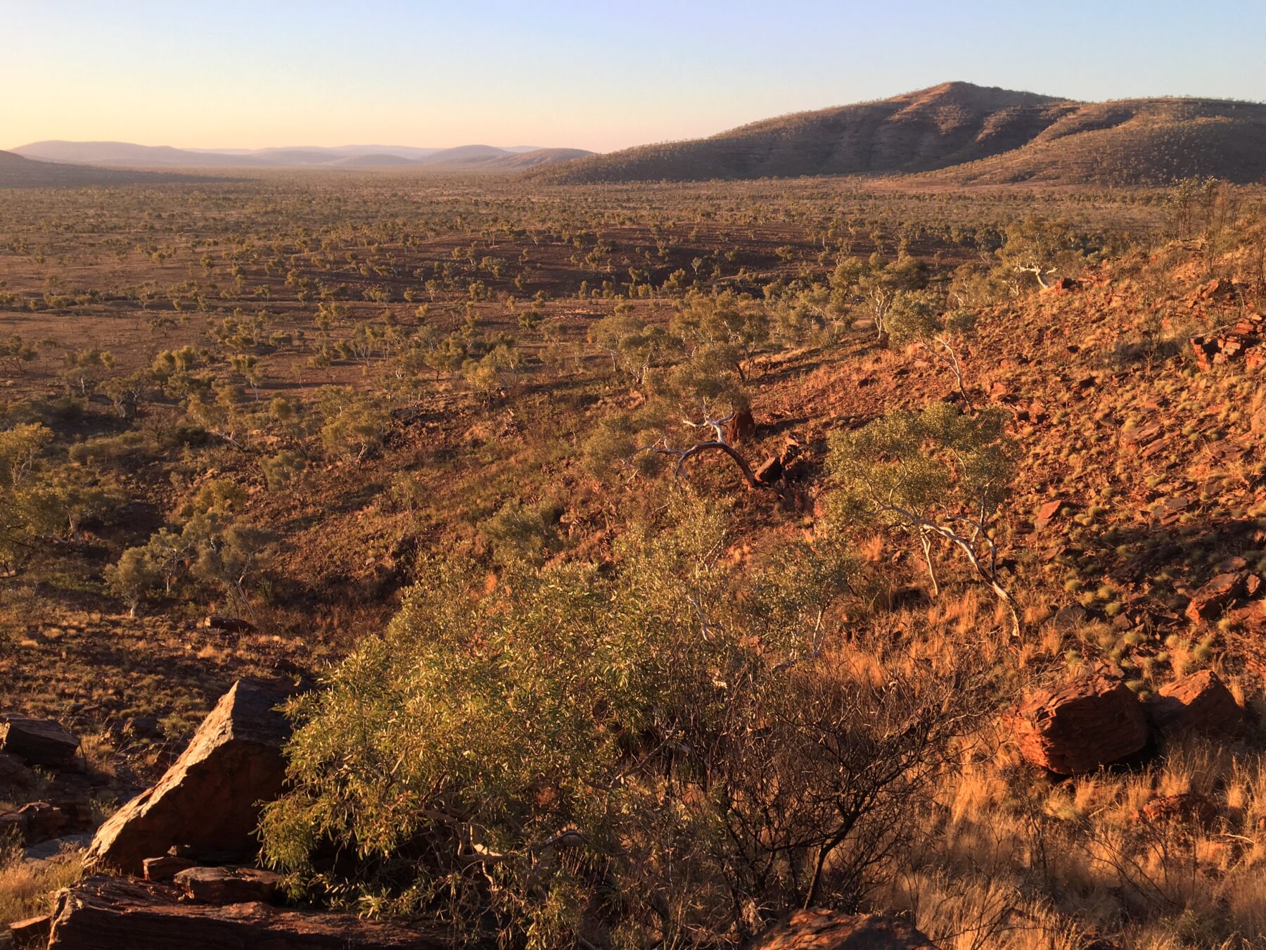 "Looking down over a valley in the Pilbara where we obtained the first ML recordings of Ground Cuckooshrike. Photo by Eliot Miller."