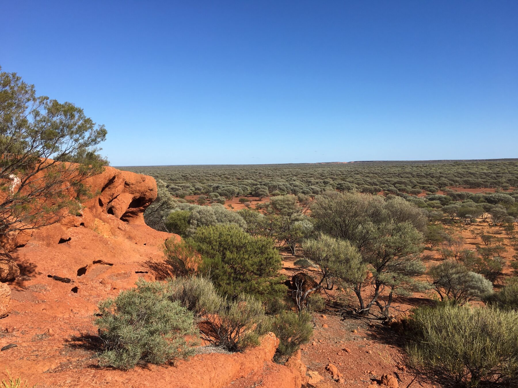 "Looking out over lush mulga from a small sandstone bluff near Mount Magnet. Photo by Eliot Miller."