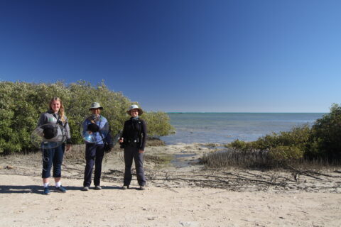 "The Western Australia team (left to right): Marie Chappell, Mariel Ortega, and Tayler Brooks "