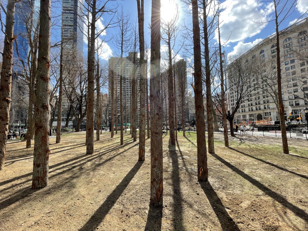 Maya Lin: Ghost Forest Seedlings