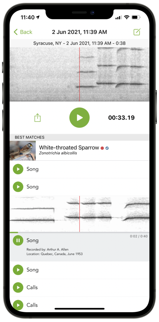 App demo showing detection of White-throated Sparrow